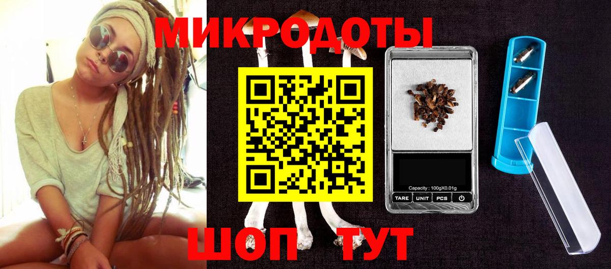 Галлюциногенные грибы Cubensis  Баксан  Псилоцибиновые грибы Psilocybine cubensis 